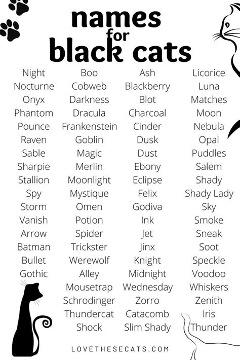 black cat names unisex